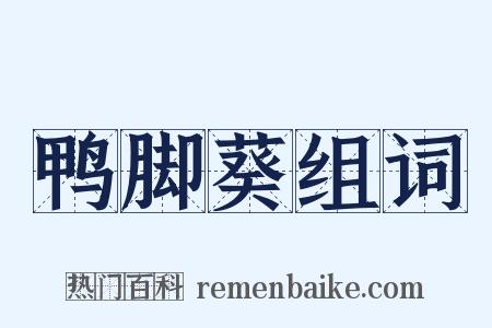 鸭脚葵组词是什么意思的图片